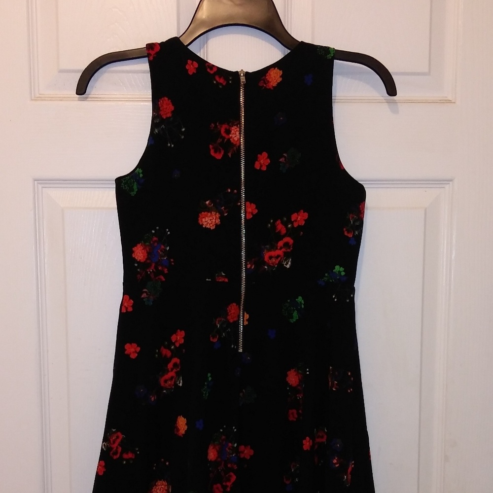 Clothes - Picture 2 of 2